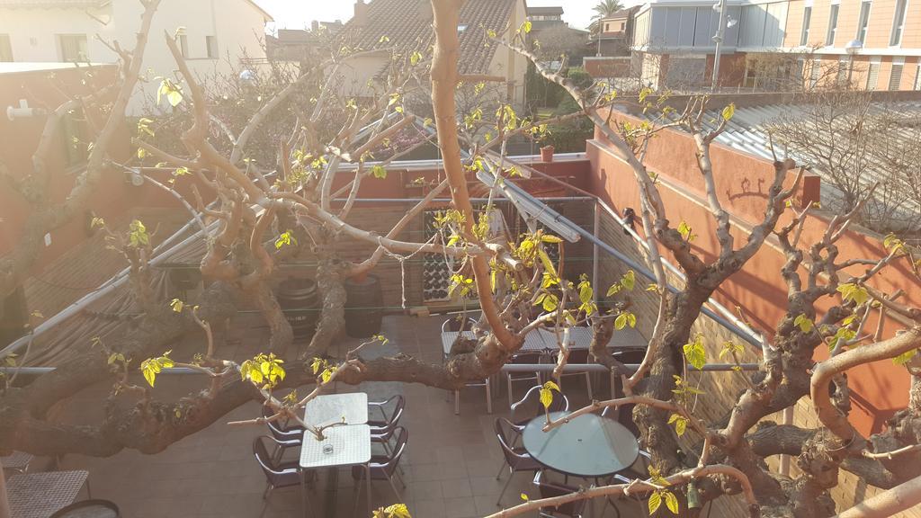 Pension Avenida Vilafranca del Penedès Kültér fotó
